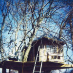 treehouse_thumb